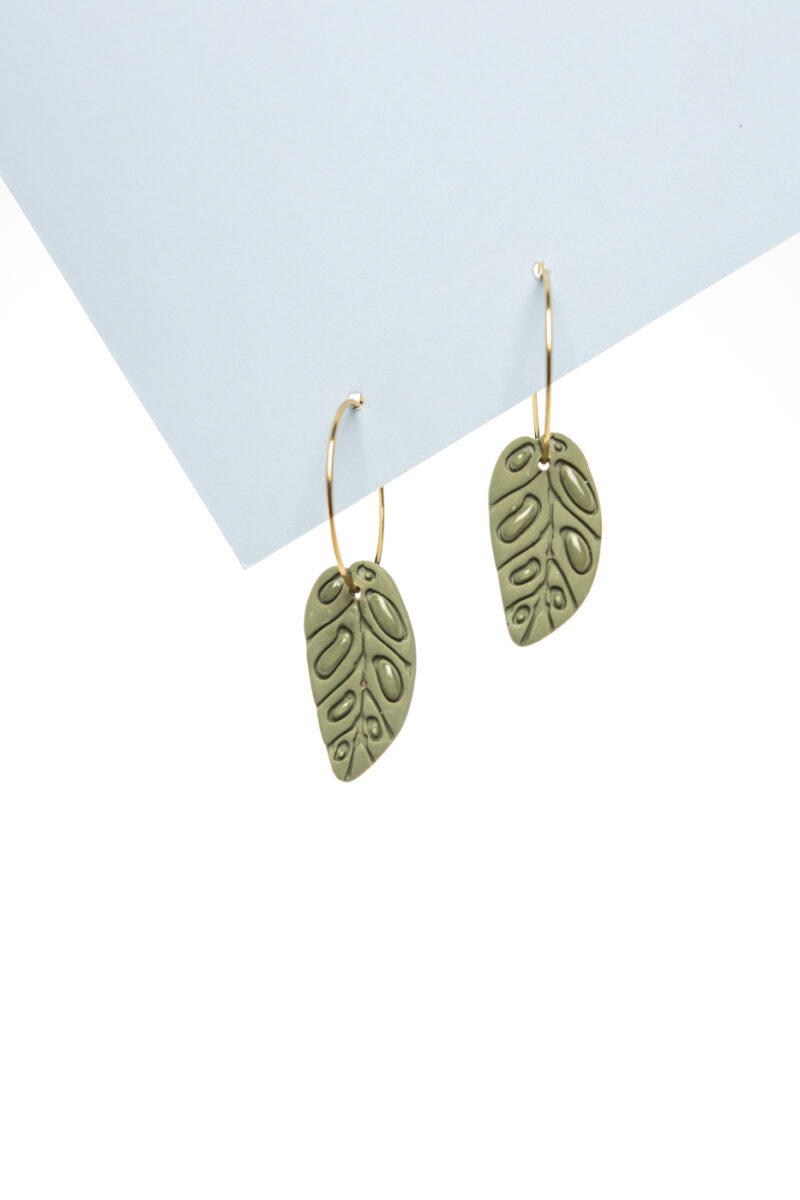 Boucles Monstera adansonii – Image 3