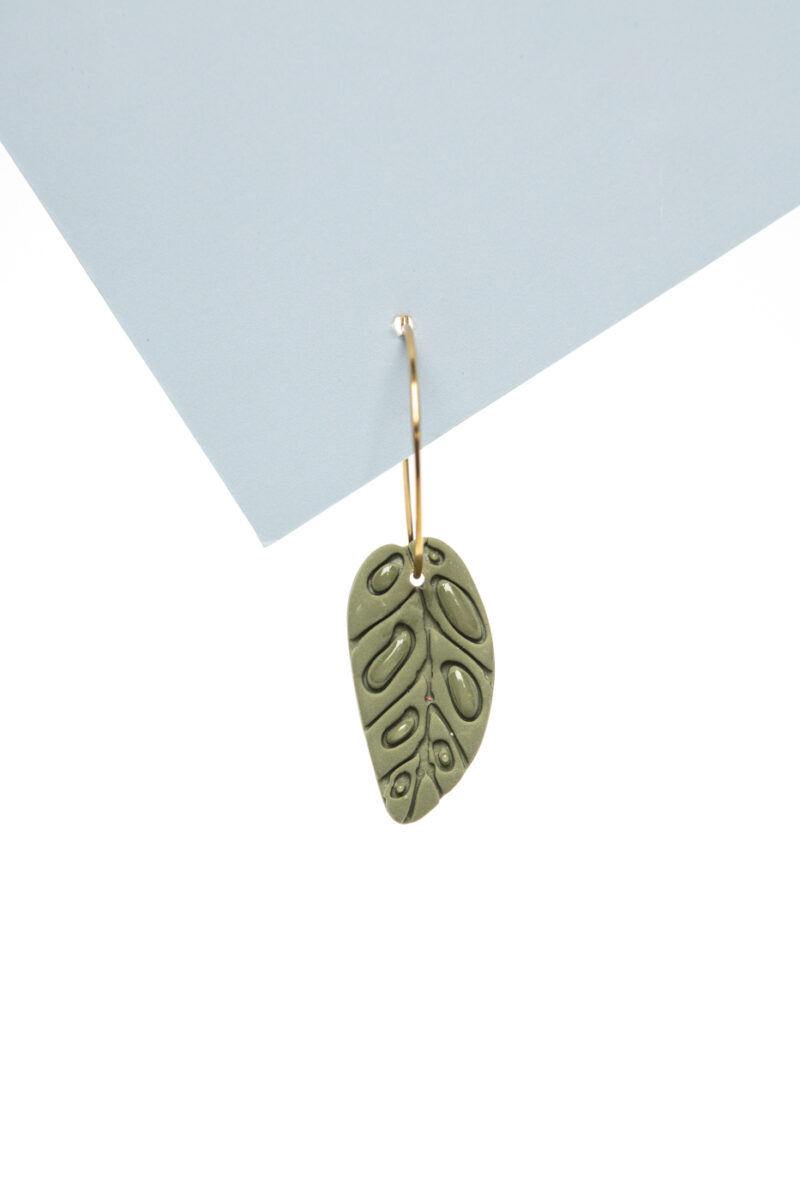 Boucles Monstera adansonii – Image 4