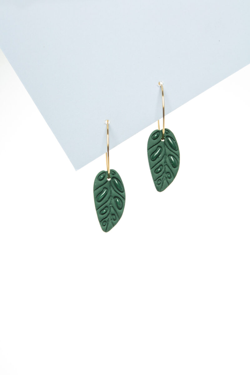Boucles Monstera adansonii