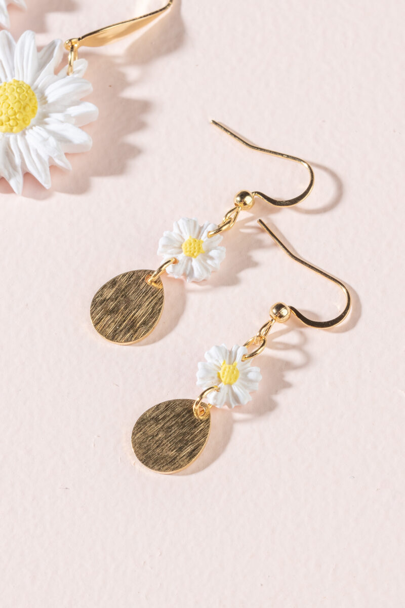 Les Daisy – Image 4