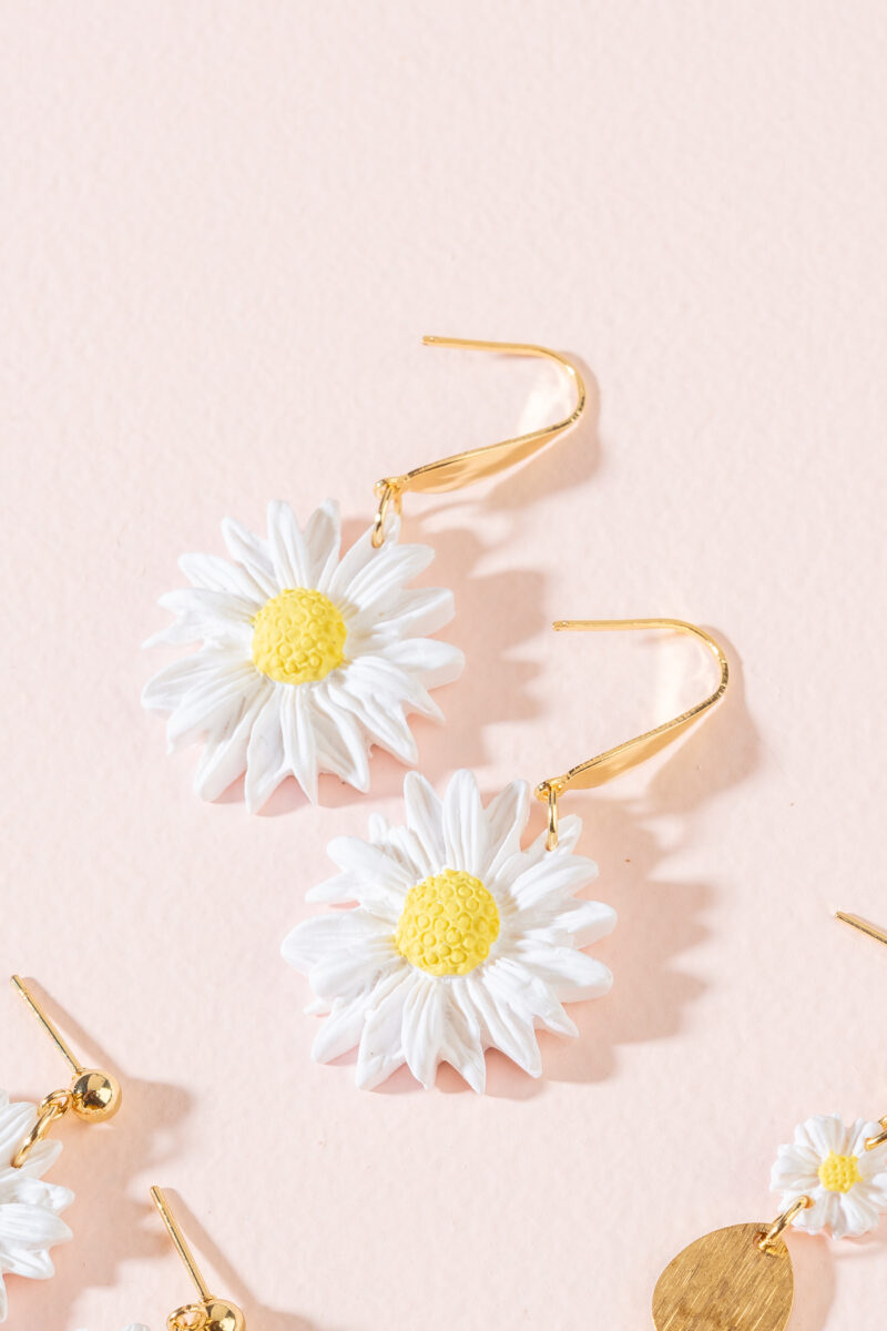 Les Daisy – Image 2