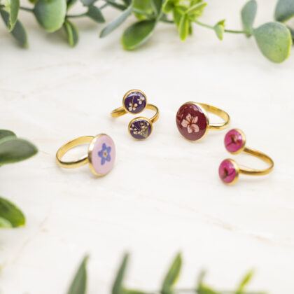 Bagues Les Accordées